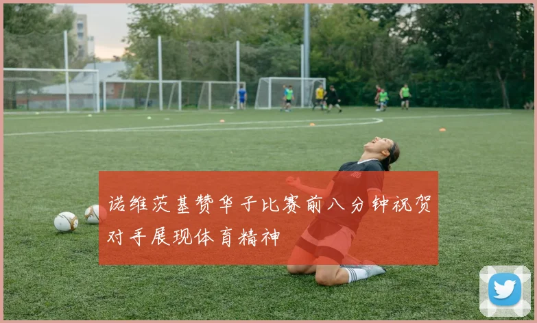 诺维茨基赞华子比赛前八分钟祝贺对手展现体育精神