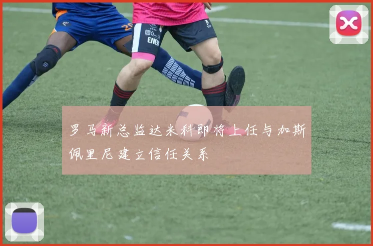 罗马新总监达米科即将上任与加斯佩里尼建立信任关系